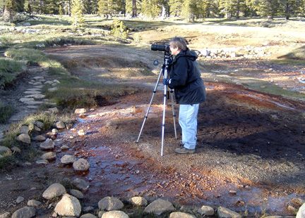 Diane at Yosemite 2004